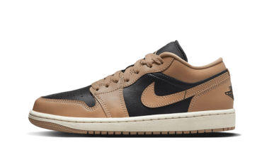 Air Jordan 1 Low Desert DC0774-201