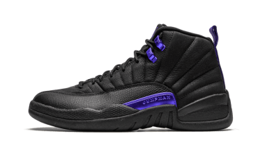 Air Jordan 12 Retro Black Dark Concord CT8013-005