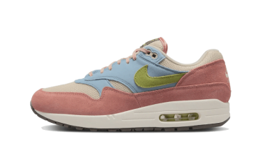 Air Max 1 Light Madder Root DV3196-800