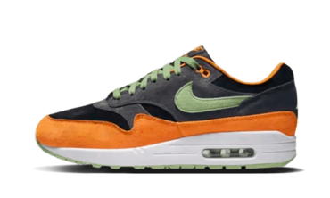Air Max 1 PRM Duck Anthracite DZ0482-001