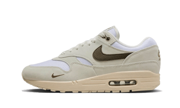 Air Max 1 Sail Ironstone DZ4494-100