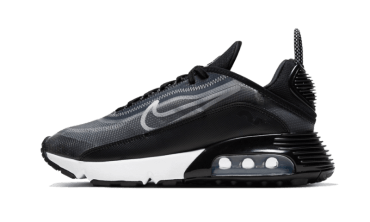 Air Max 2090 Black CK2612-002