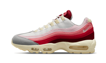 Air Max 95 Anatomy of Air DM0012-600