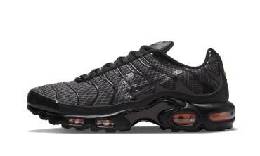 Air Max Plus 3D Swoosh Black DR0138-001