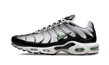 Air Max Plus Seafoam Grey Black DH4776-100