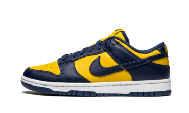 Dunk Low Michigan CW1590-700
