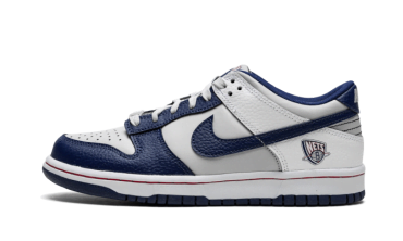 Dunk Low NBA 75th Anniversary Brooklyn Nets DD3363-001