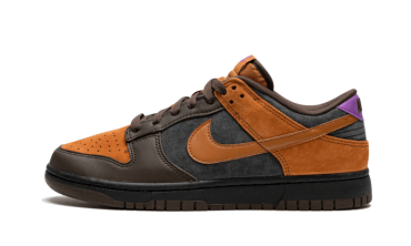 Dunk Low PRM Cider DH0601-001