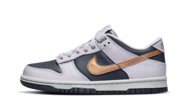 Dunk Low SE Copper Swoosh DX1663-400